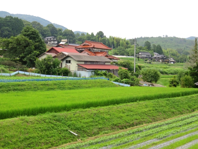 農家住宅と佐賀県三養基郡基山町売買の基礎知識とポイント解説